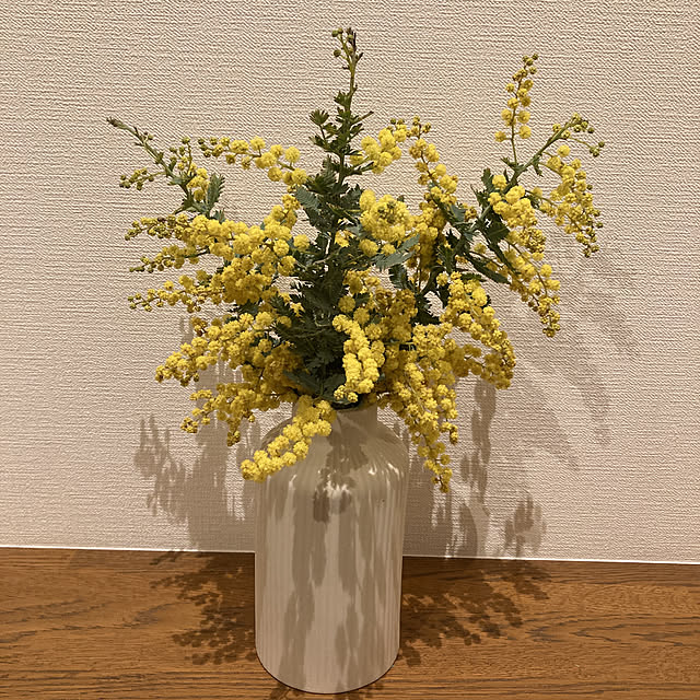 AoMioさんの実例写真