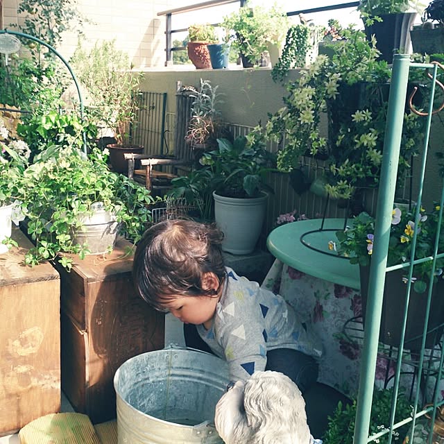 amifuuさんの実例写真