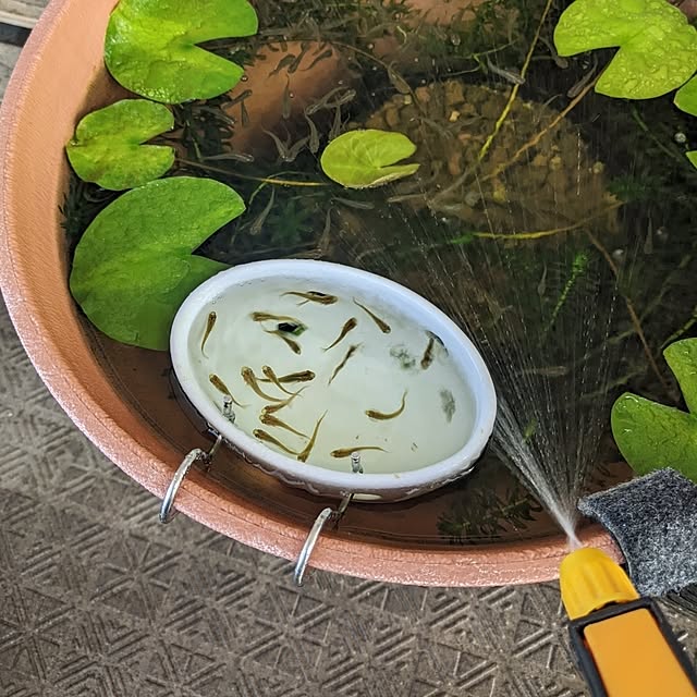 mi-saさんの実例写真