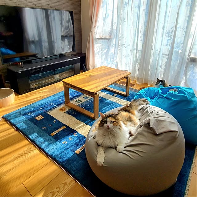 akiko6193さんの部屋