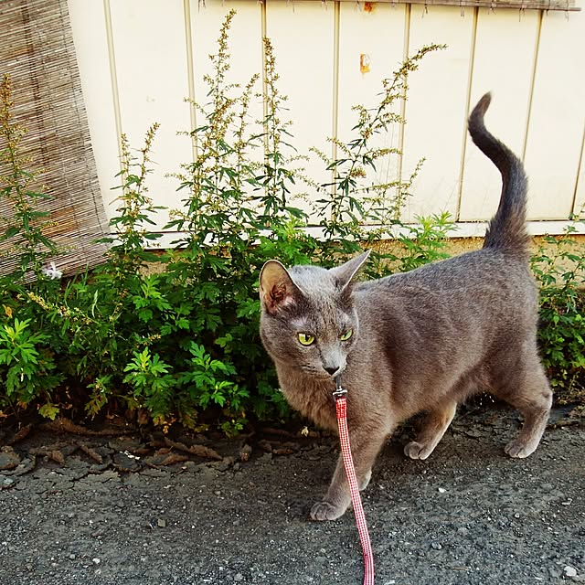 tomo1220さんの実例写真