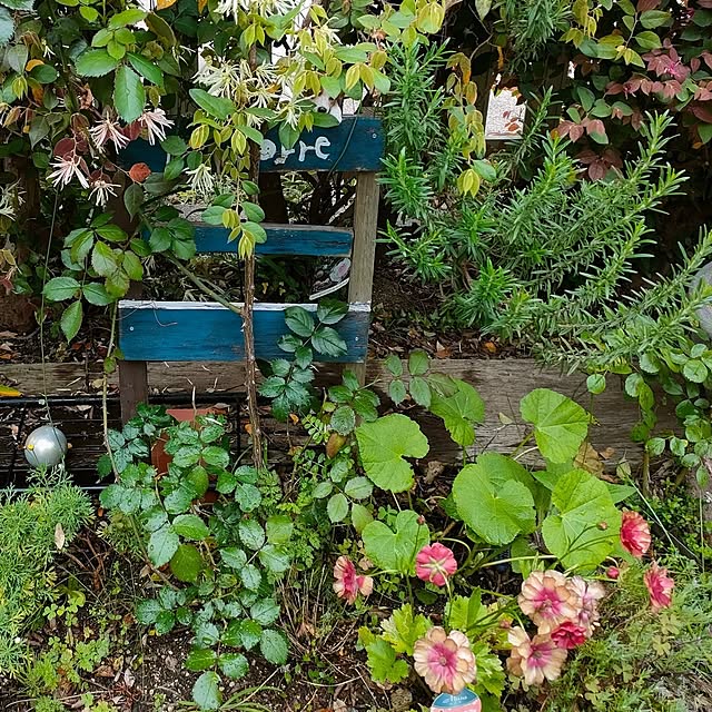 mind_komaさんの部屋