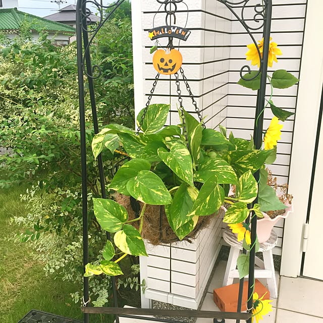 実例写真