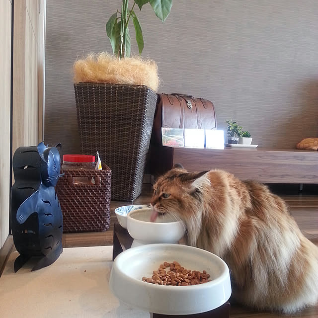 noriさんの実例写真