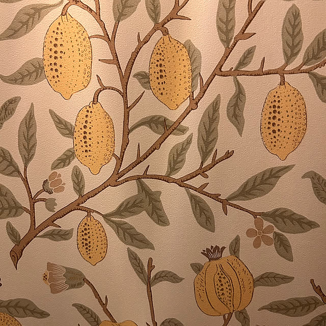 lucianoさんの部屋