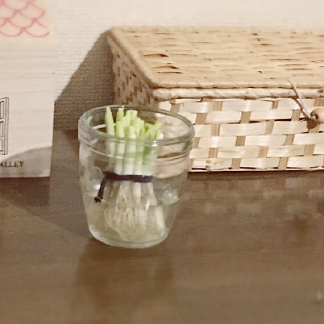 Hirokoさんの実例写真