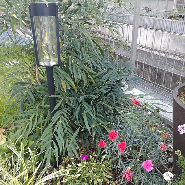 tan5さんの実例写真