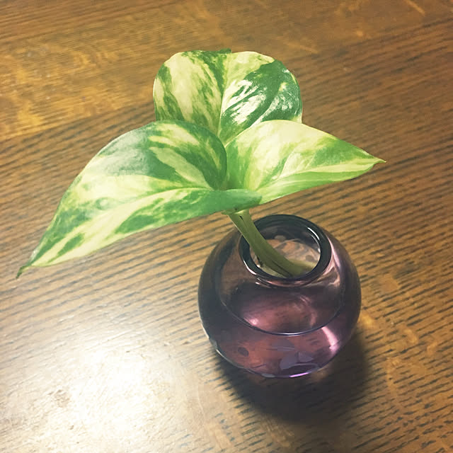 kunさんの実例写真