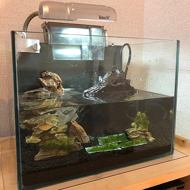 shuon519さんの実例写真