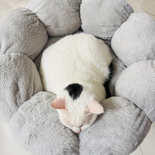 pcu110さんの部屋