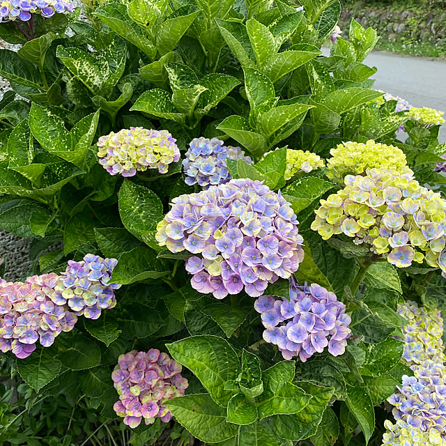TOROさんの実例写真