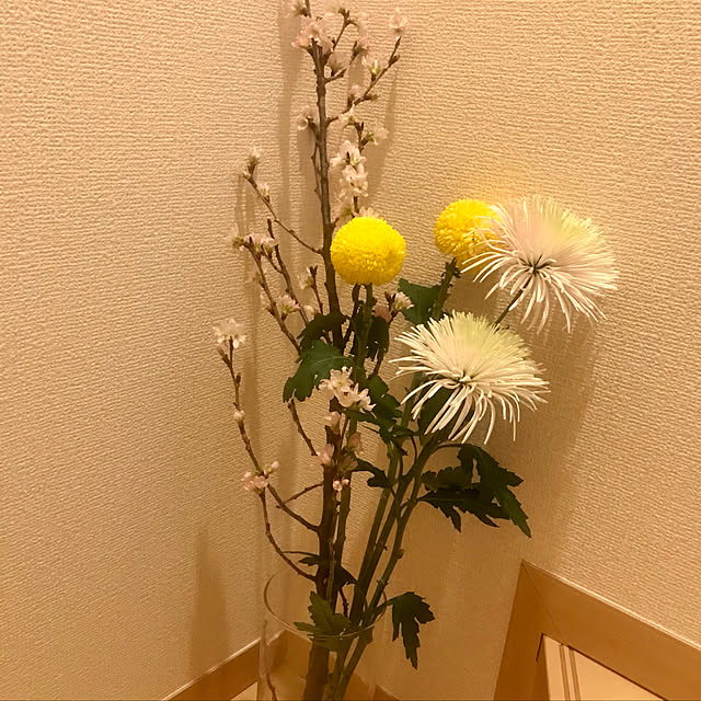 arashissstさんの実例写真