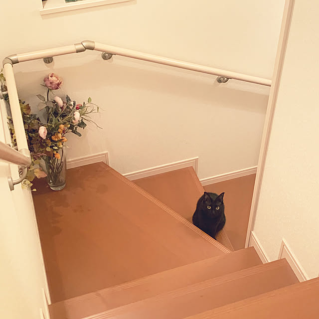 mameazさんの実例写真