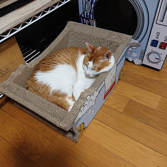mugi77327732さんの実例写真