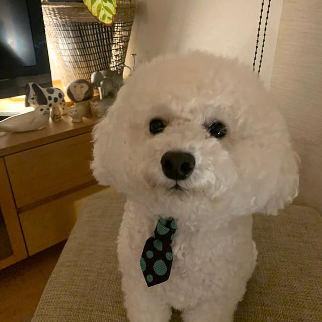BUNさんの実例写真