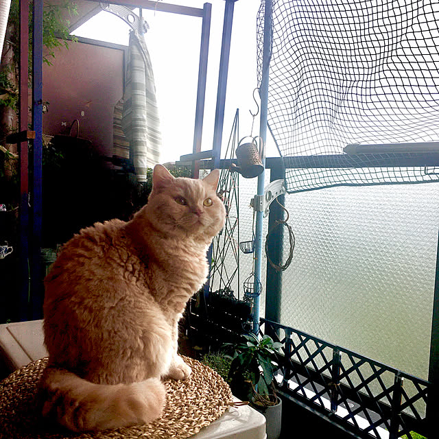 naokoさんの部屋