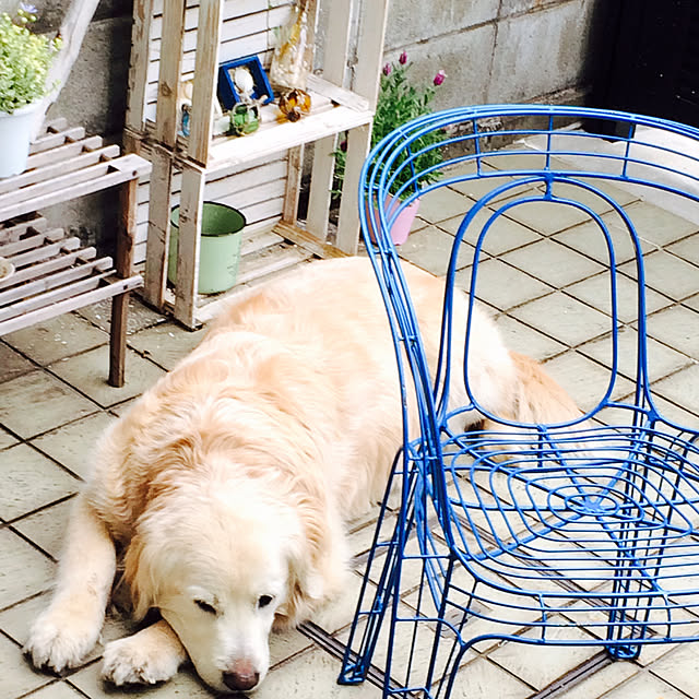 Hiroさんの実例写真