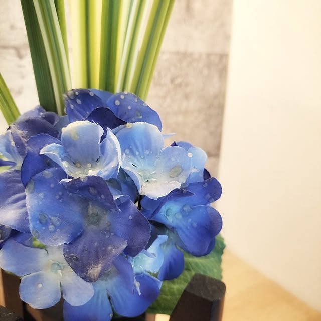 kazuyosi35nさんの部屋