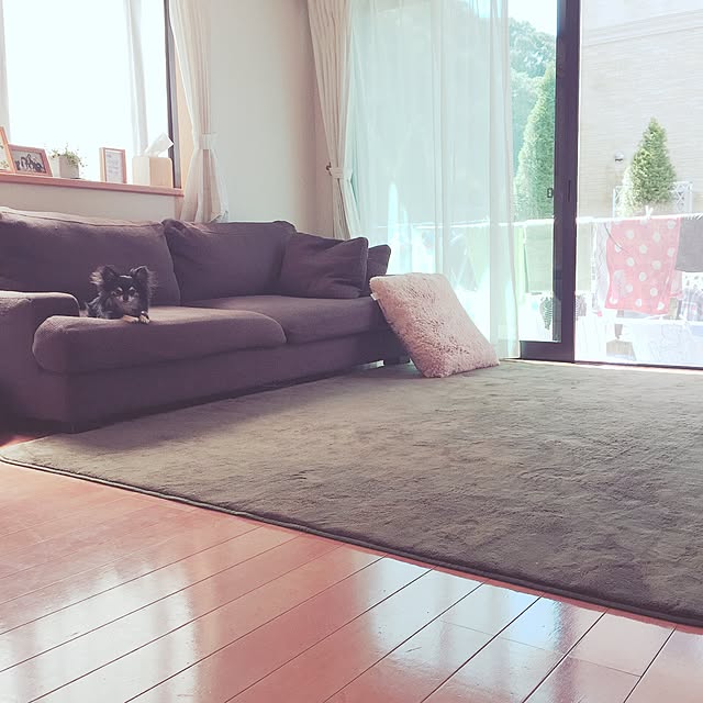 YukiYukiさんの実例写真
