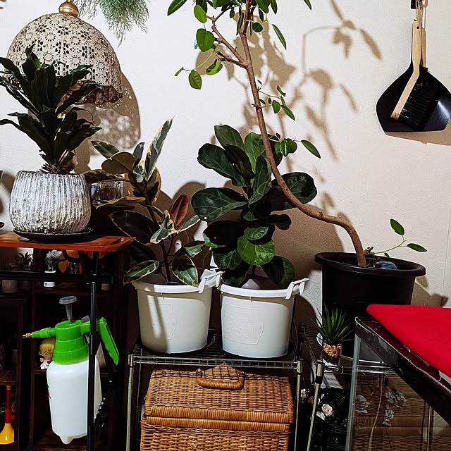 umeboshicyanさんの部屋