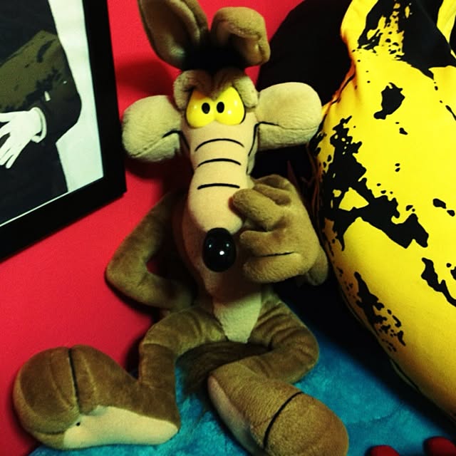N3さんの実例写真