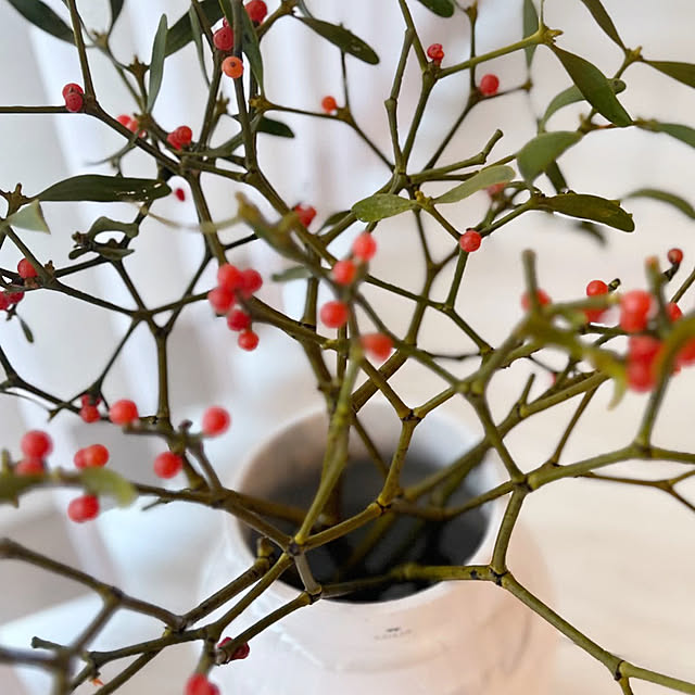 M.H.Lさんの実例写真