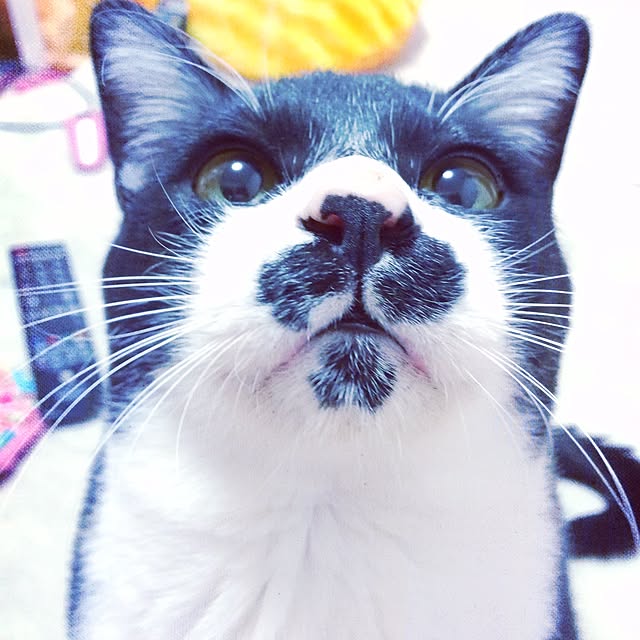 threeさんの実例写真