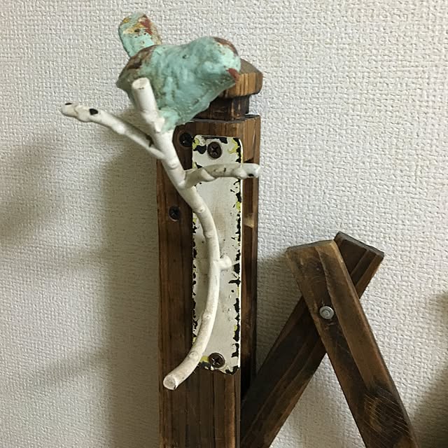 tetra163さんの実例写真