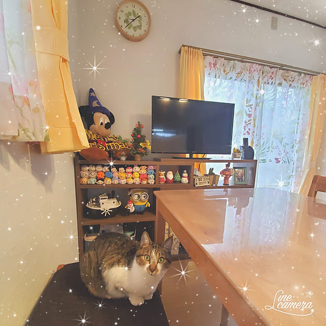 yu-riさんの実例写真
