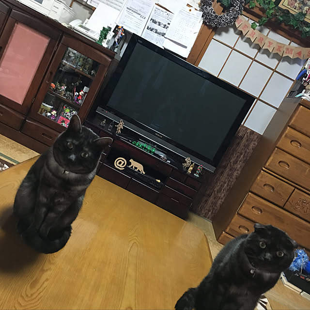 MOKOさんの実例写真
