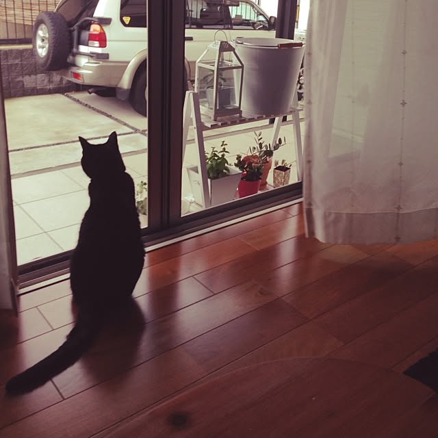 ALPSさんの実例写真