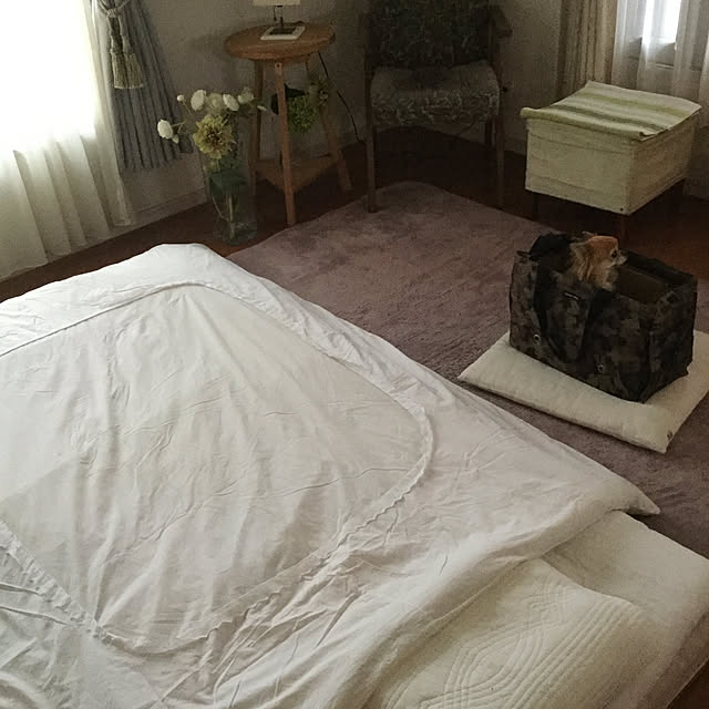 greenpancerさんの実例写真