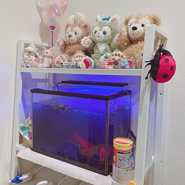 hiroさんの実例写真