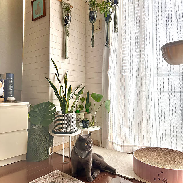 kittyさんの実例写真