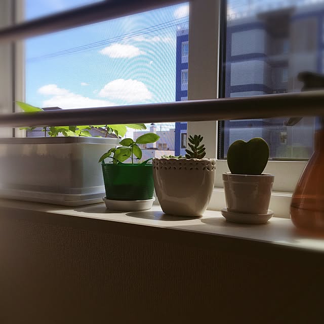 lemonさんの実例写真