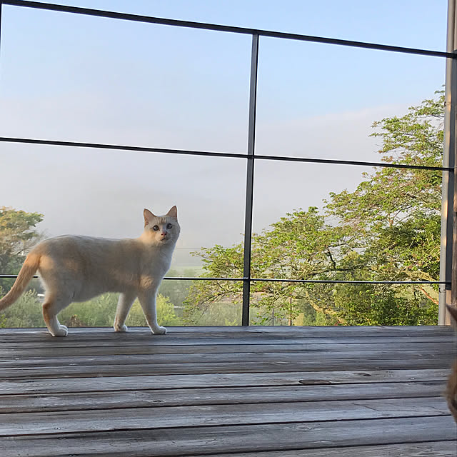 sakurasakuさんの実例写真