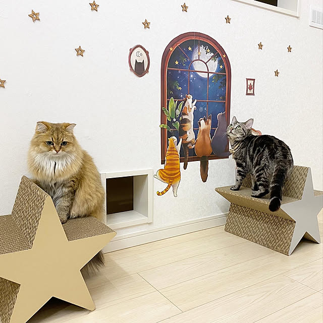 furitamaさんの実例写真