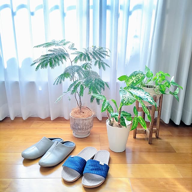 Haさんの部屋