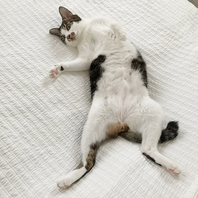 yuchiさんの実例写真