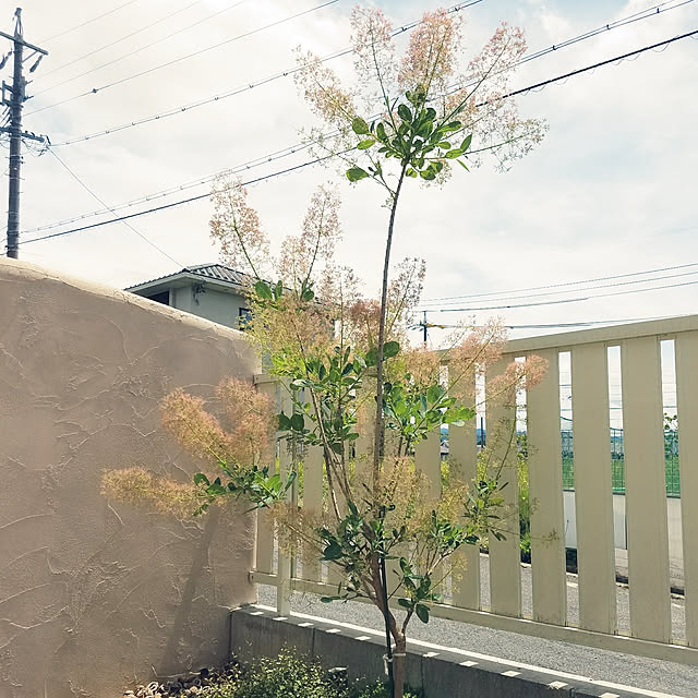 A.hさんの実例写真