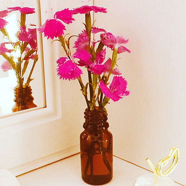 hanaさんの実例写真