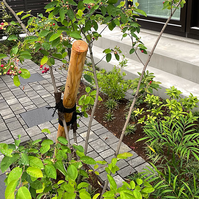 anaさんの実例写真