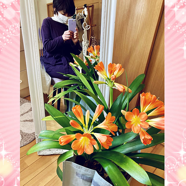 CoCo0617さんの実例写真