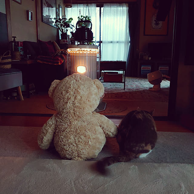 fukuさんの実例写真