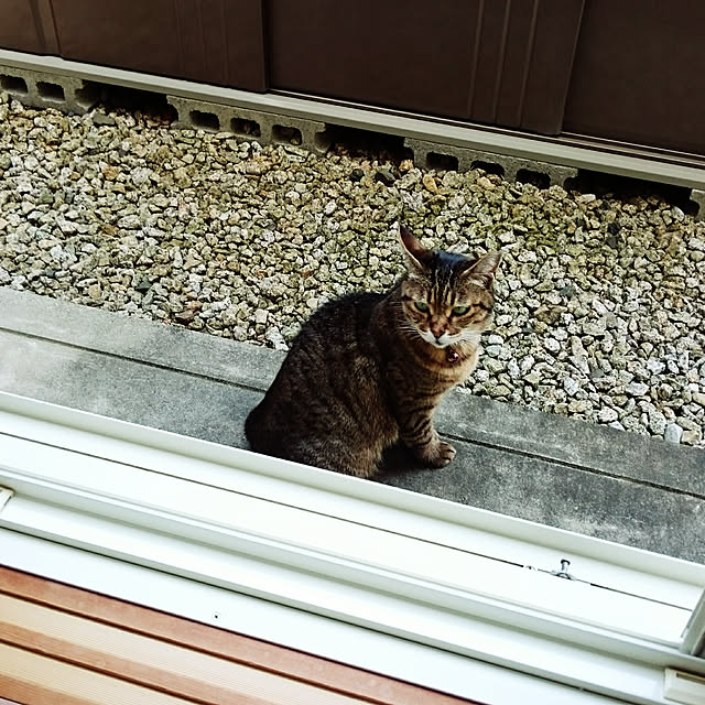 lilyさんの実例写真