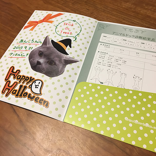 ikettenさんの実例写真