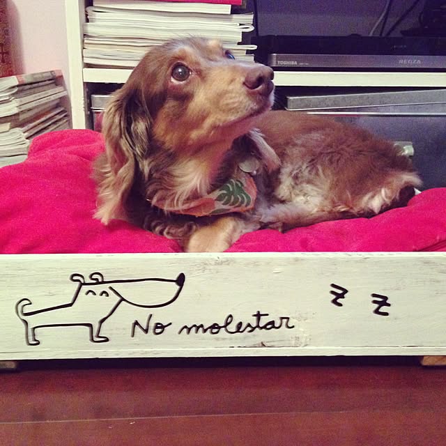 Mari_barcelonaさんの実例写真