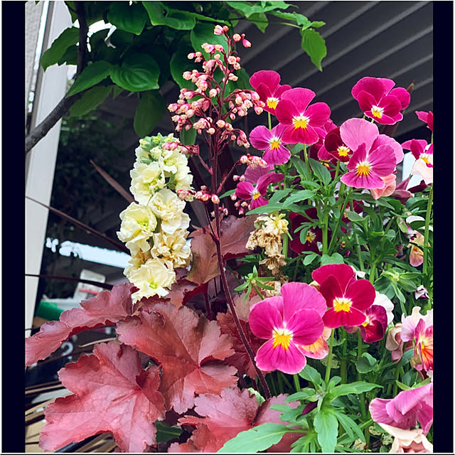 yukarin-gardenさんの実例写真