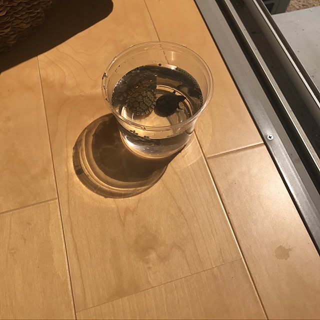 mikomugisaさんの実例写真