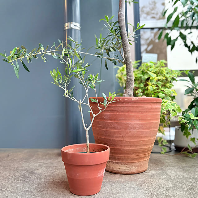 up0524さんの実例写真